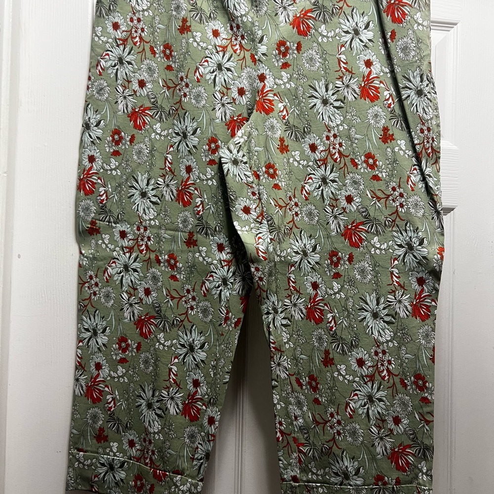 Cato Floral Ankle Pants - Green and Red